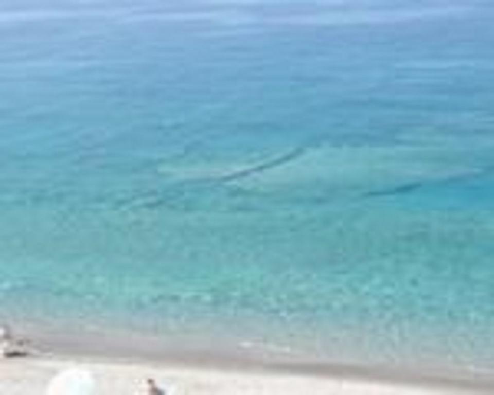 Terrazza Sul Mare Lägenhet Gioiosa Marea Exteriör bild